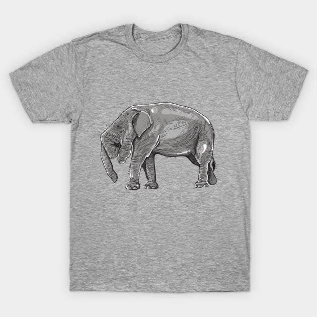 Elephant T-Shirt by Arash Shayesteh